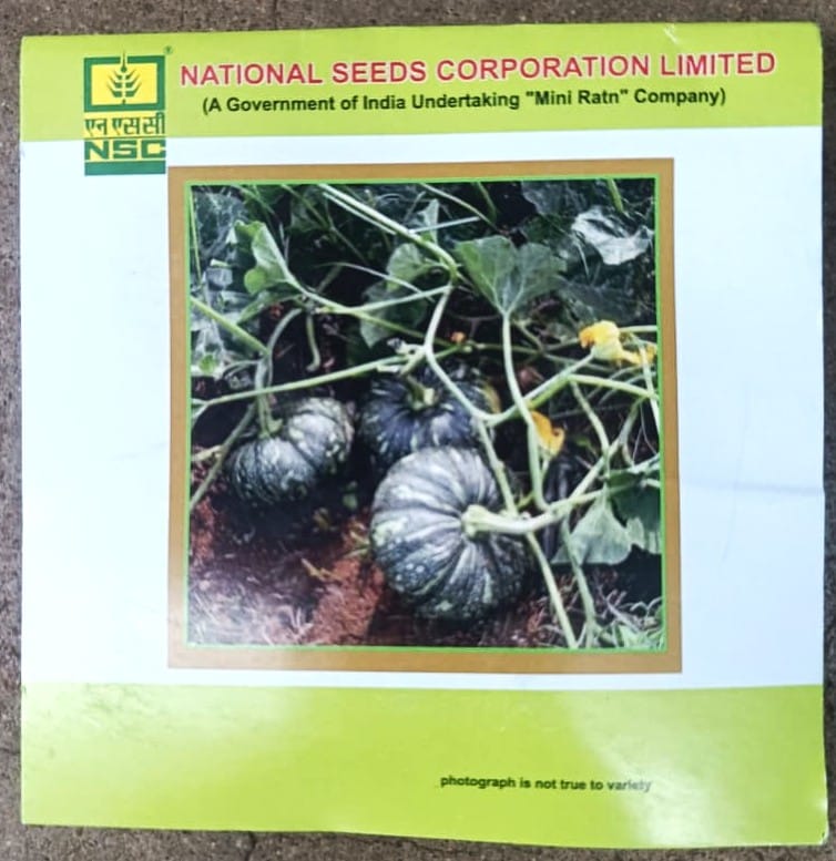 Pumpkin Variety - Kashi Harit