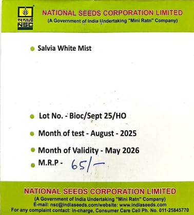 NSC Salvia White Mist flower Seeds NSC Salvia White Mist flower Seeds