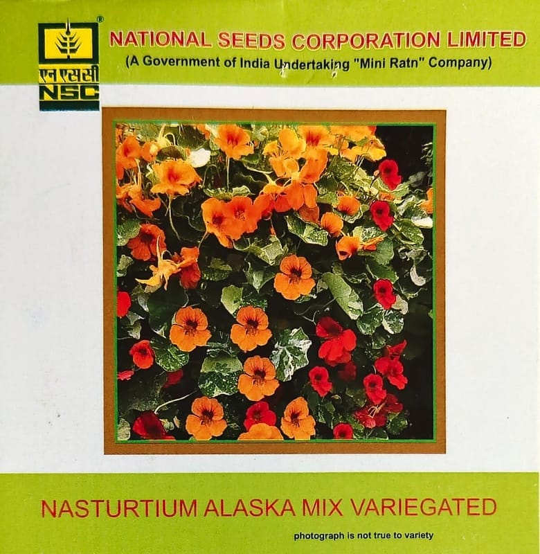 NSC Nasturtium Alaska Mix Variegated Flower Seed