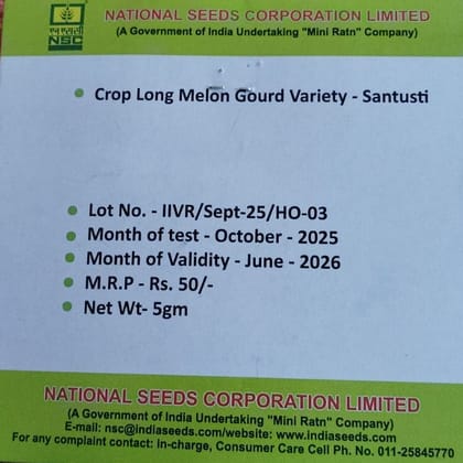 Long Melon Gourd Variety - Santusti Long Melon Gourd Variety - Santusti