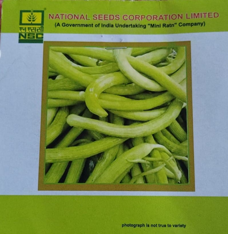 Long Melon Gourd Variety - Santusti