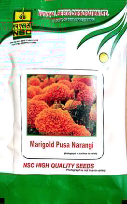 NSC High Quality Marigold Pusa Narangi Seeds - Vibrant Orange Blooms for Your Garden 10 GM