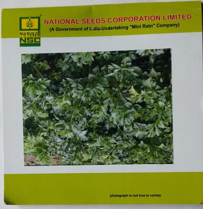 NSC Celery Hook Emperor,5gm