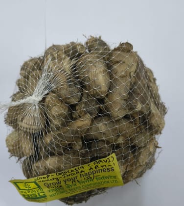 NSC Colocasia(Arvi) Indira Arvi-1 Seed/tubers, 1 kg 