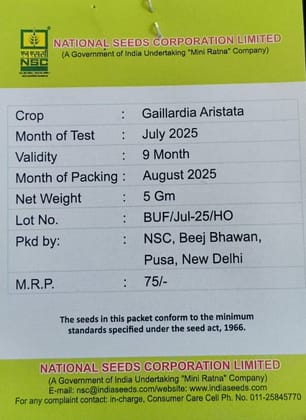 NSC Flower - Gaillardia Aristata Seed (5 gm Seed) NSC Flower - Gaillardia Aristata Seed (5 gm Seed)