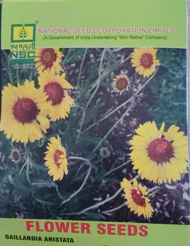 NSC Flower - Gaillardia Aristata Seed (5 gm Seed)