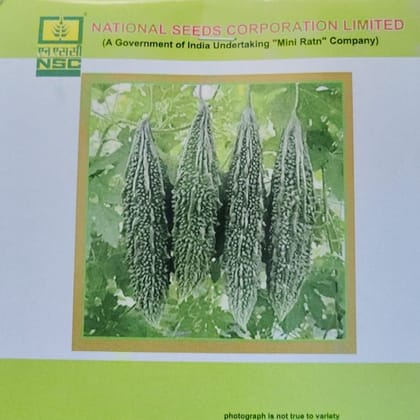 NSC Bitter Gourd Kashi Pratistha Seed
