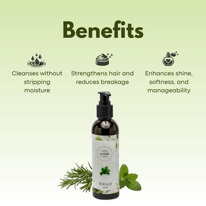 Herbal Shampoo Herbal Shampoo