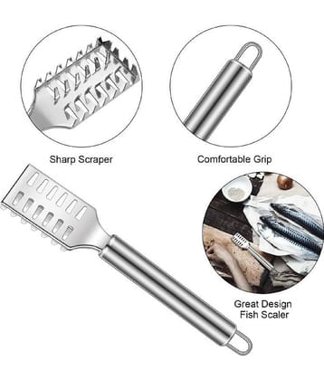 VillWin Silver Stainless Steel Fish Scale Remover Pack of 2 ( Set of 2 )
