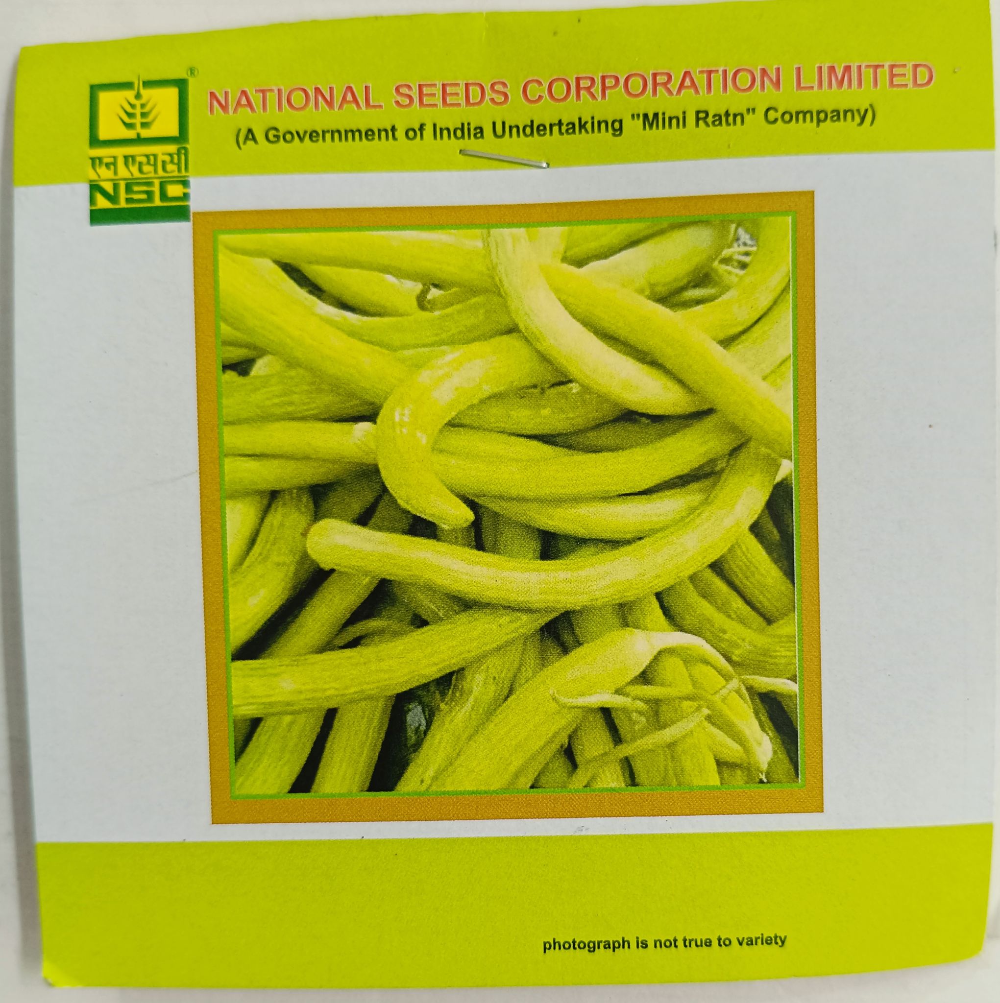 Long Melon Gourd (Kakri)