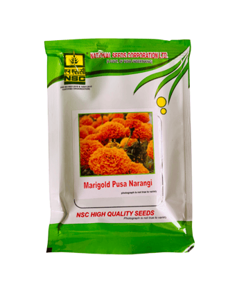 NSC Marigold Variety – Pusa Narangi | High-Quality T/L Seeds | 10 g Pack