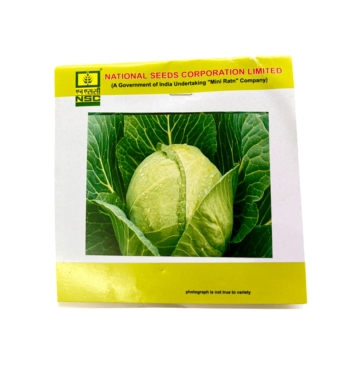 NSC Cabbage / Golden Acre-5 GM SEED PACKET T/L