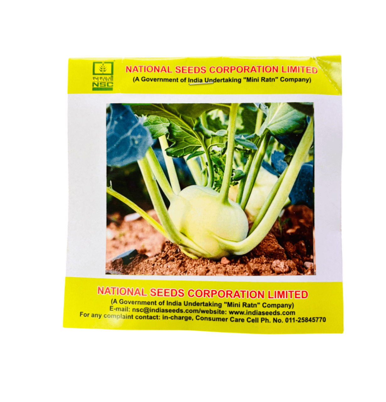 NSC Knol Khol Variety – White Veena | High-Quality T/L Seeds | 5 g Pack