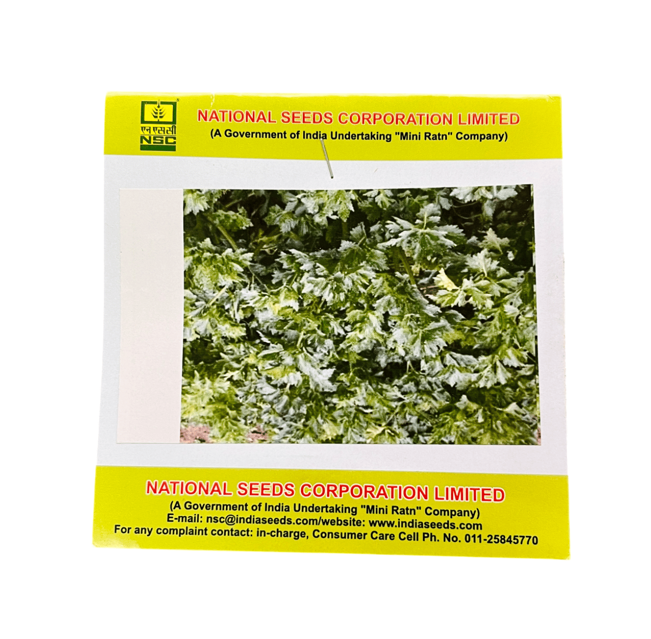 NSC Celery, VARIETY-Ford Hook Emperior Exotic Vegetable Variety, 5 Gram TL SEED PACKET