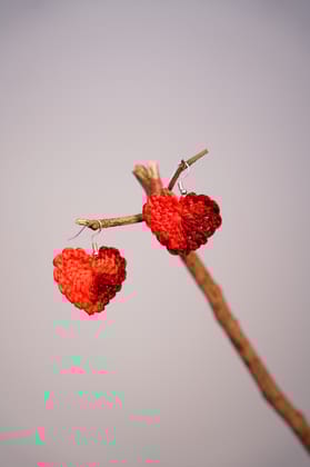 Handmade Crochet Rose Earring Variegated Yarn