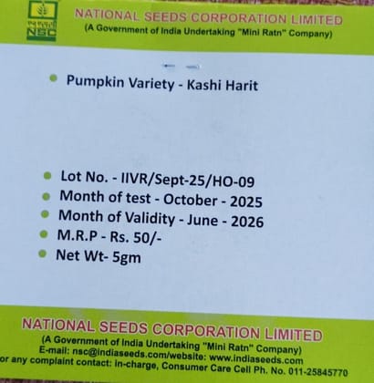 NSC Pumpkin Kashi Harit Seed NSC Pumpkin Kashi Harit Seed