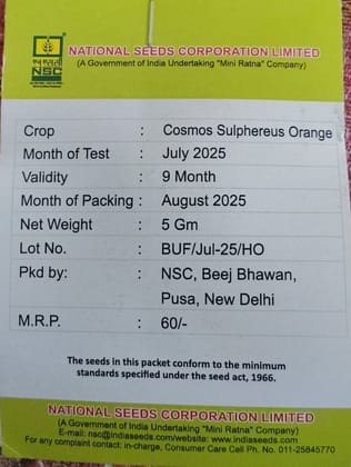 NSC Flower Seed -Vibrant Orange Cosmos Sulphereus-5 gm NSC Flower Seed -Vibrant Orange Cosmos Sulphereus-5 gm