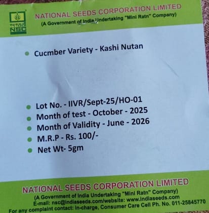 NSC Cucumber Kashi Nutan NSC Cucumber Kashi Nutan
