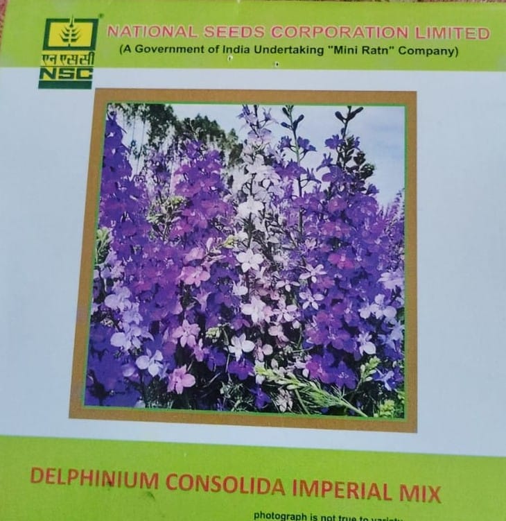 NSC-Delphinium Consolida Imperial MIX-5 Gram Seeds