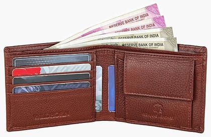 WildHorn Olive Leather Men's Wallet (Brown)