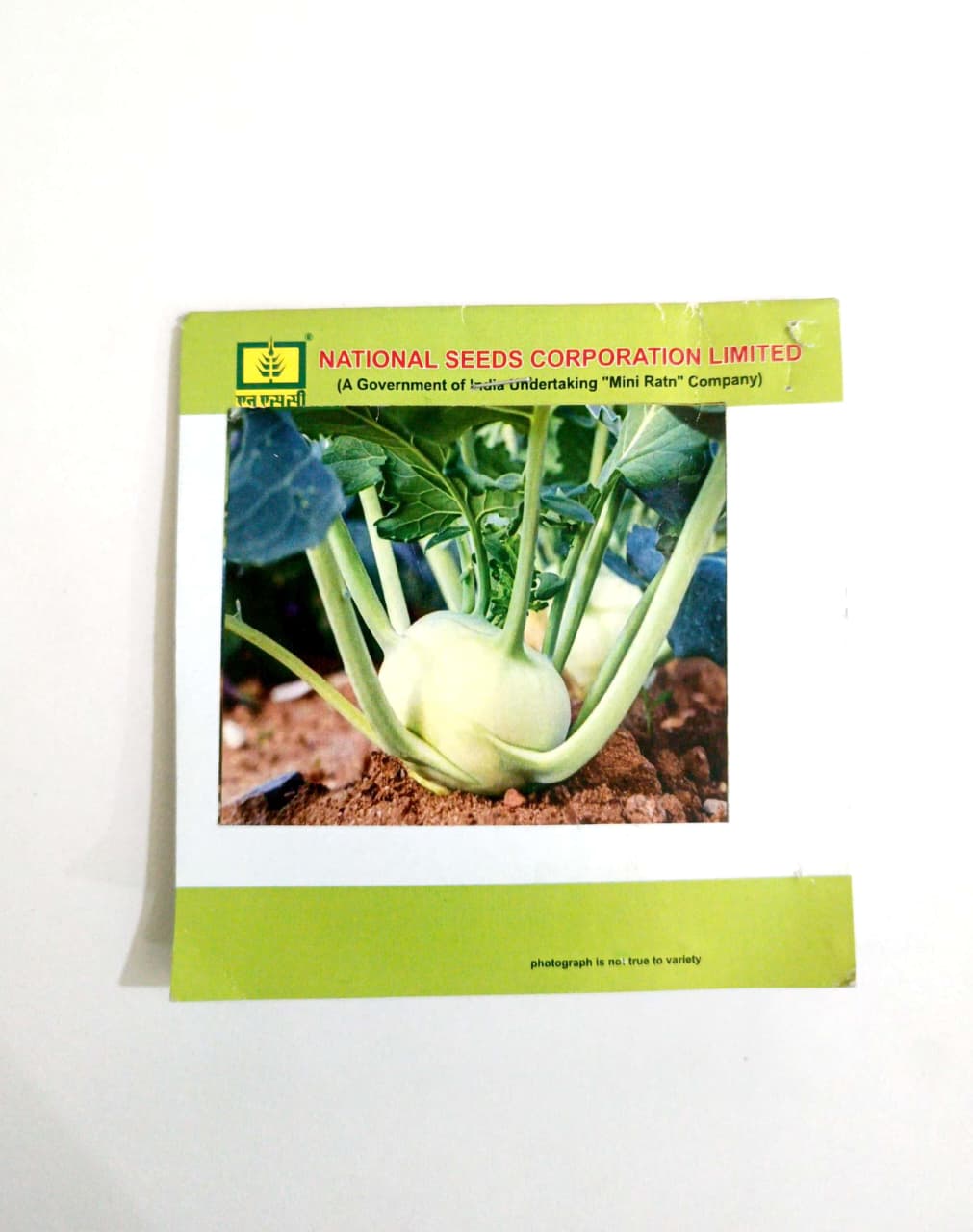 NSC KNOL KHOL WHITE VIENNA 5 GM Quality Seeds for Healthy Plant Growth