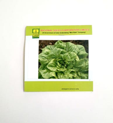 NSC LETTUCE/CHINESE YELLOW 5 GM T/L SEEDS