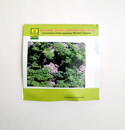 NSC Parsely Moss curled T/L 5 GM