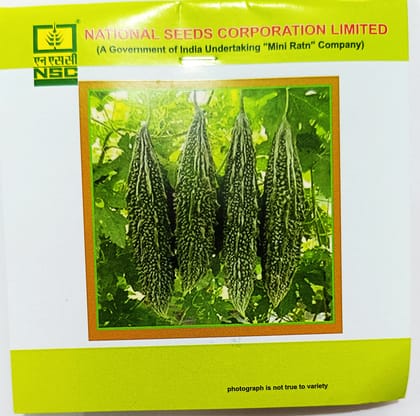 Bitter Gourd – Kashi Pratishtha 