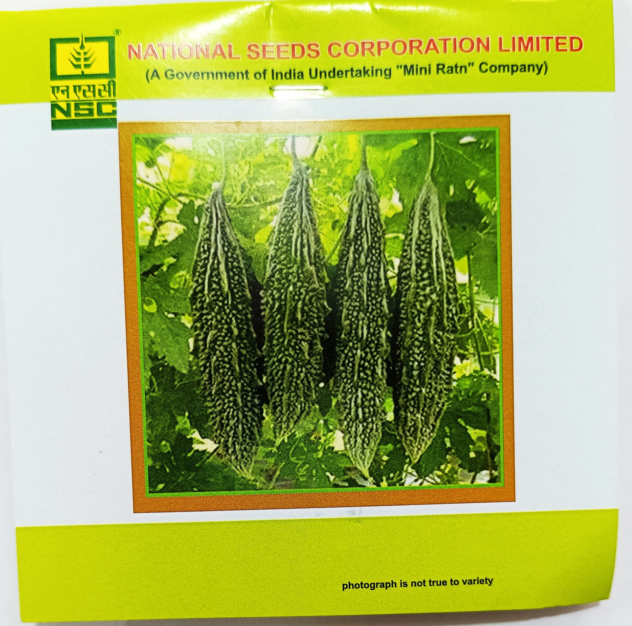 Bitter Gourd – Kashi Pratishtha 