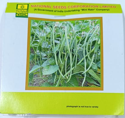 Cowpea – Kashi Nidhi (Vegetable Cowpea / Lobia)