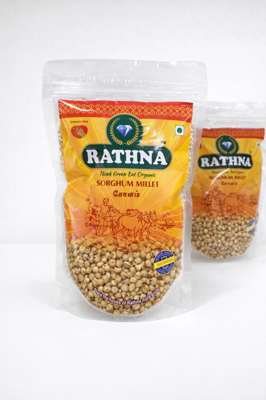 White Sorguhum || Vella Cholam || Jowar