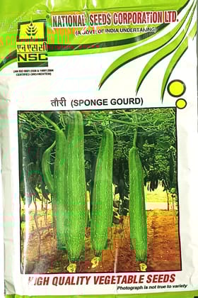 Sponge Gourd
