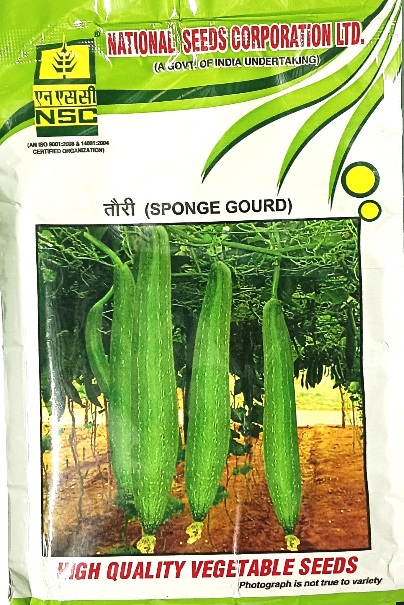 Sponge Gourd