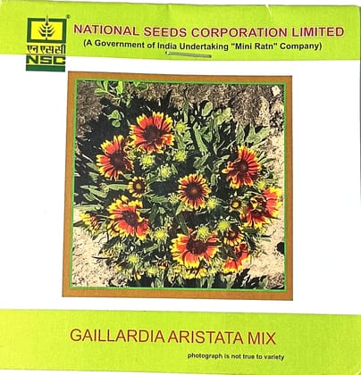 Gaillardia Aristata Mix