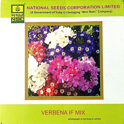 Verbena IF Mix