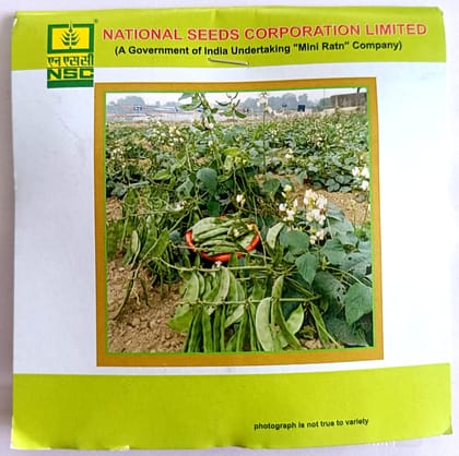 Sem-Kashi Bauni 207-TL