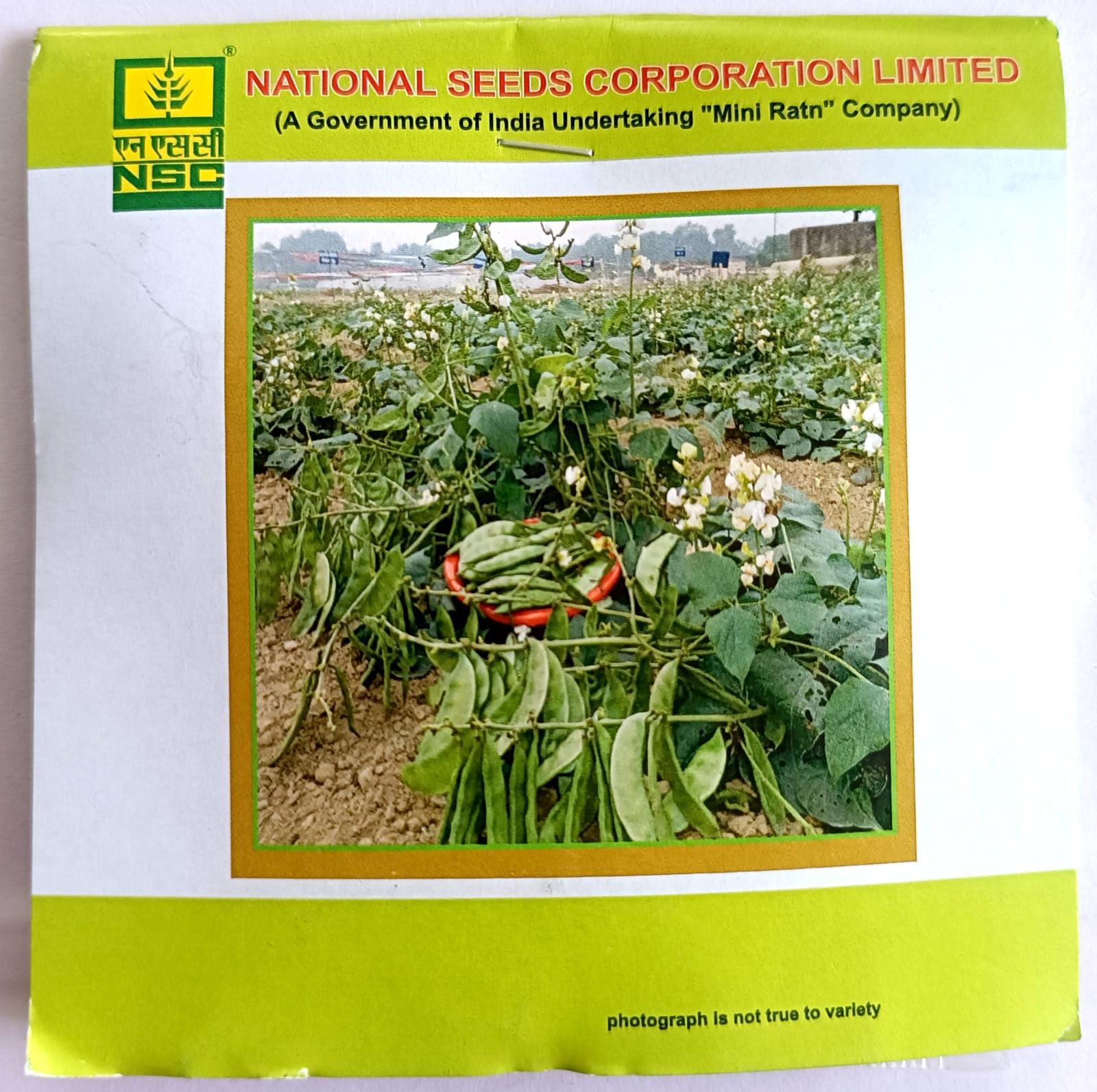 Sem-Kashi Bauni 207-TL