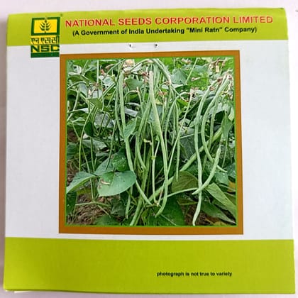 Cowpea - Kashi Nidhi TL