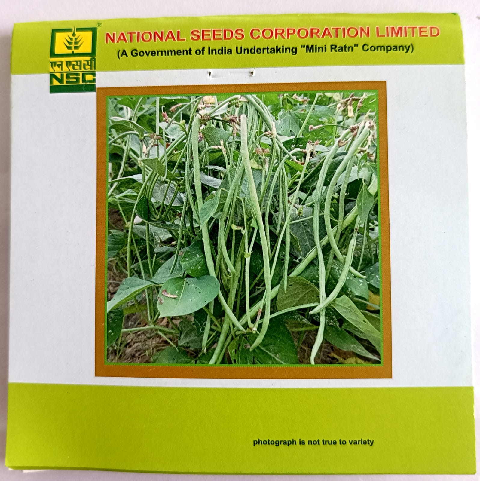 Cowpea - Kashi Nidhi TL