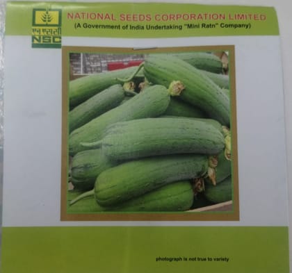 NSC Spounge gourd-Kashi Shreya, 5g T/L Seed