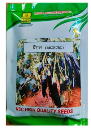 NSC Brinjal Seeds – Arka Keshav (50 gms)