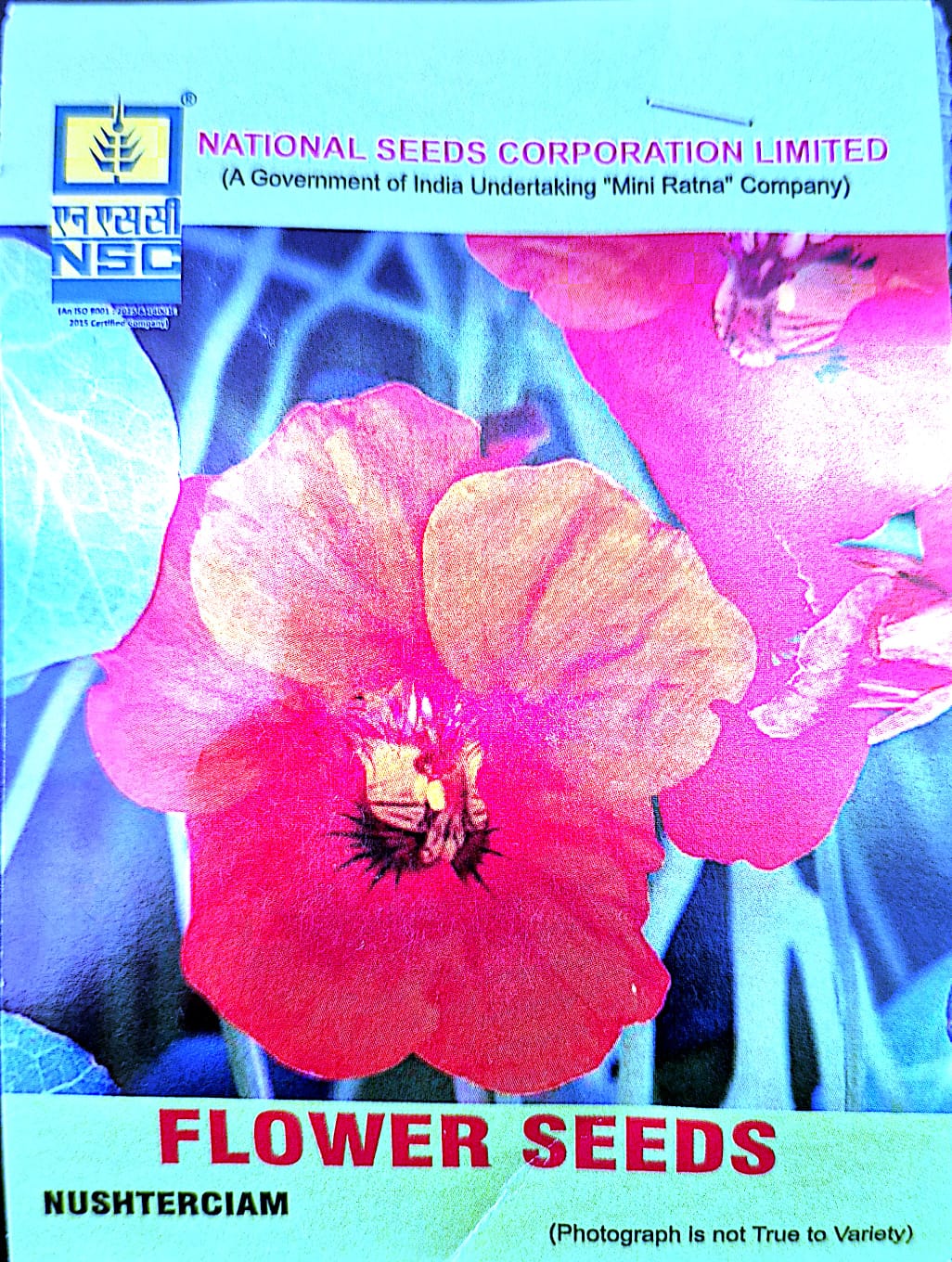 NSC – Nasturtium (5 Gms Seeds)