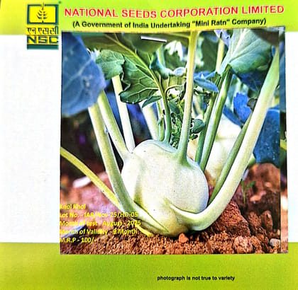 NSC – Knol-Khol White Viena (5 Gms Seeds)