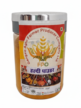 Haldi Powder - 500 gm Pure Turmeric By Gangeo Agro Farmer Producer Company Ltd.