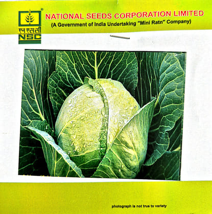 NSC – Cabbage Golden Acre (5 Gms Seeds)