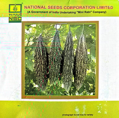 NSC – Bitter Gourd (Kashi Pratishttha) – 5 Gms Seeds