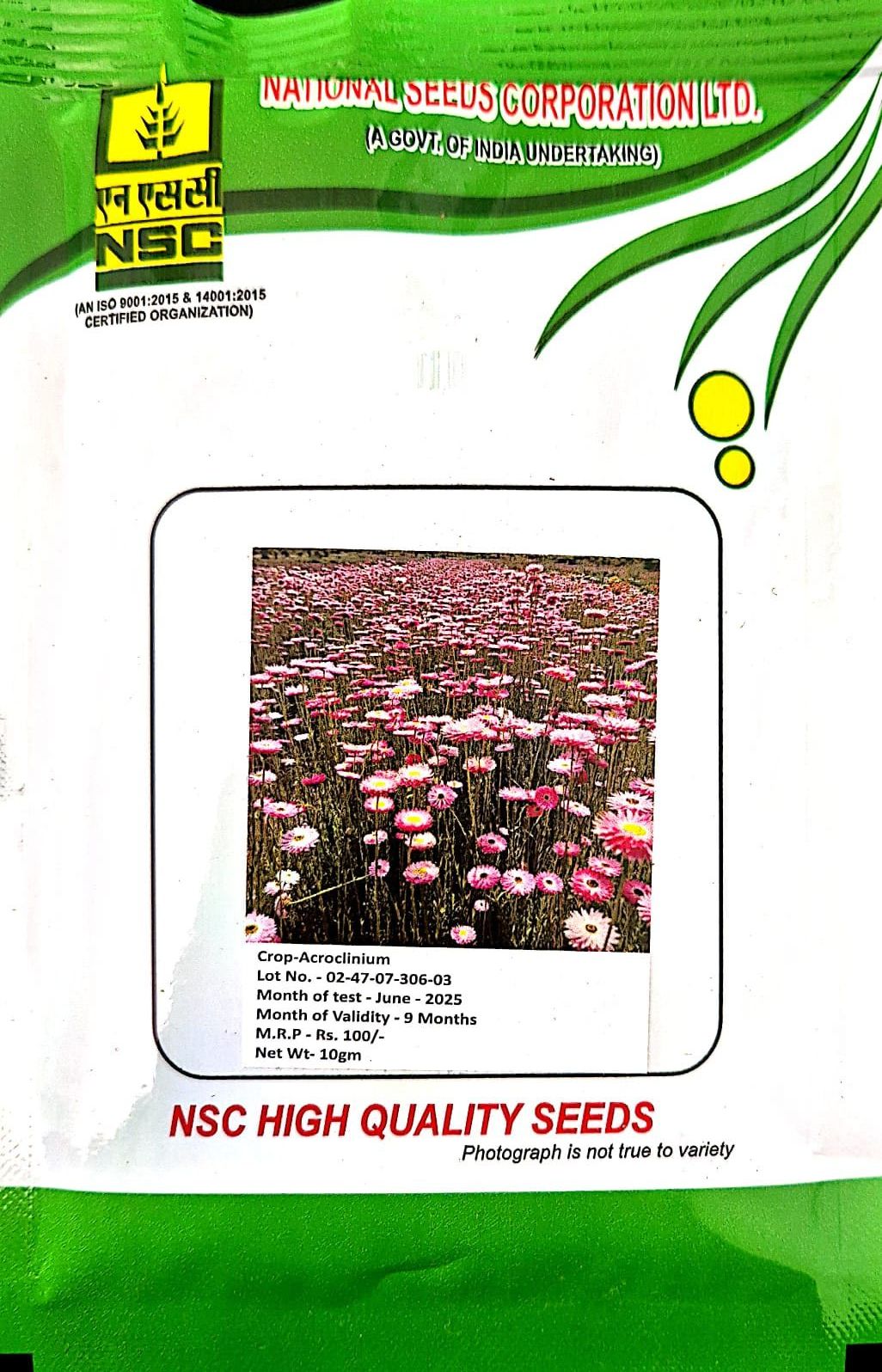 NSC – Acroclinium (10 Gms Seeds)