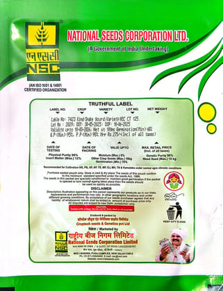 NSC Snakegourd CT-125