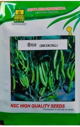 NSC Brinjal Seeds – Arka Harshitha (10 gms)