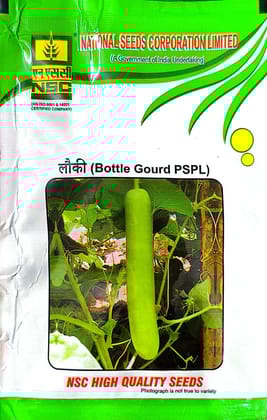 NSC Bottlegourd PSPL 25 GM